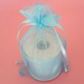 Flat Organza Gift Bag with 2 Satin Ribbon Lt Blue 10/PK